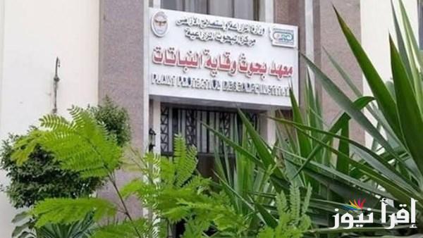 ندوات توعوية لمواجهة دودة الحشد الخريفية في الذرة