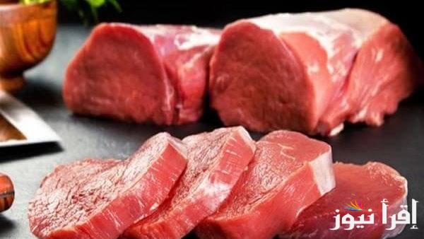 الفلاحون يحذرون من زيادة أسعار اللحوم بسبب هذا السبب