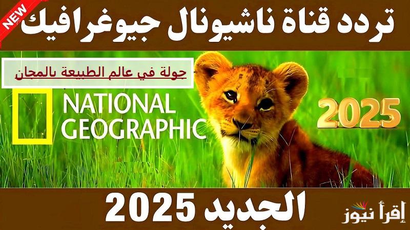 جولة في عالم الطبيعة بالمجان..  استقبل تردد قناة ناشيونال جيوغرافيك 2025 علي النايل سات لأحلى مغامرات الحيوانات
