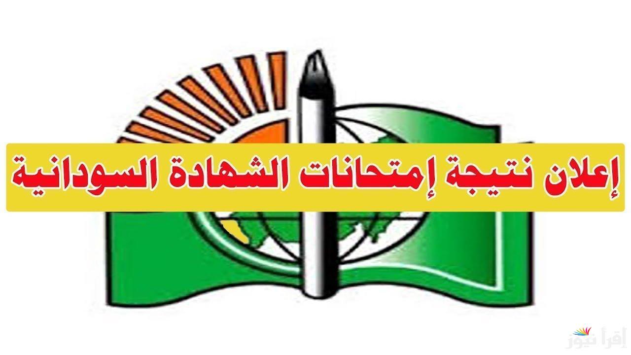 استعلم الآن.. رابط الاستعلام عن نتيجة امتحان الشهادة السودانية 2025 عبر موقع وزارة التعليم mohe.gov.sd “نسبة النجاح 78%”