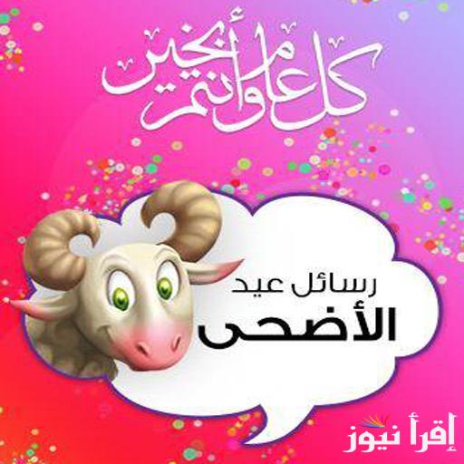رسائل تهنئة عيد الأضحى 2025..  تقبل الله منكم صالح الأعمال وجزاكم خير الجزاء