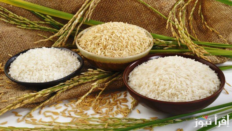 “اشتري وخزن براحتك” سعر طن الأرز الشعير اليوم الاثنين 28 ابريل 2025 في الأسواق المصرية