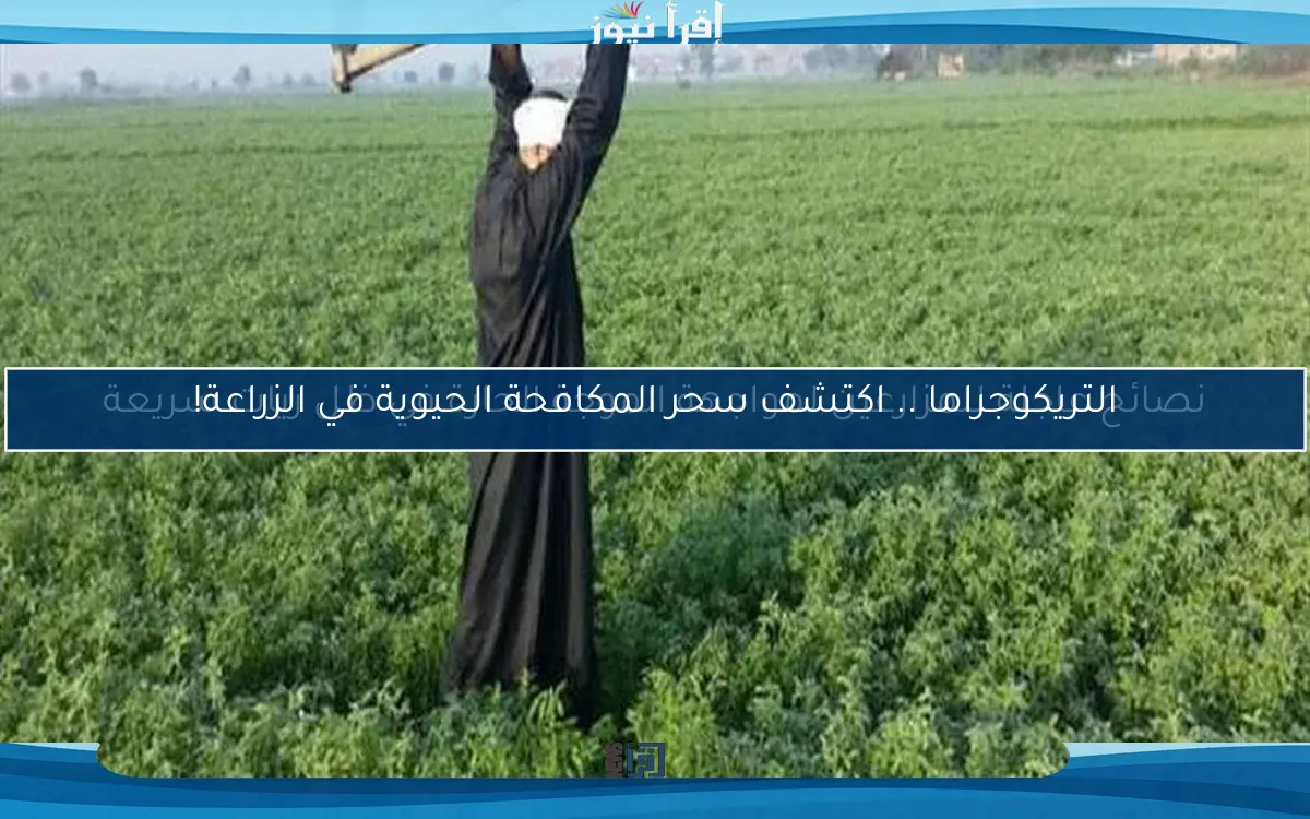 نصائح عاجلة للمزارعين لمواجهة الموجة الحارة في ظل ريات سريعة