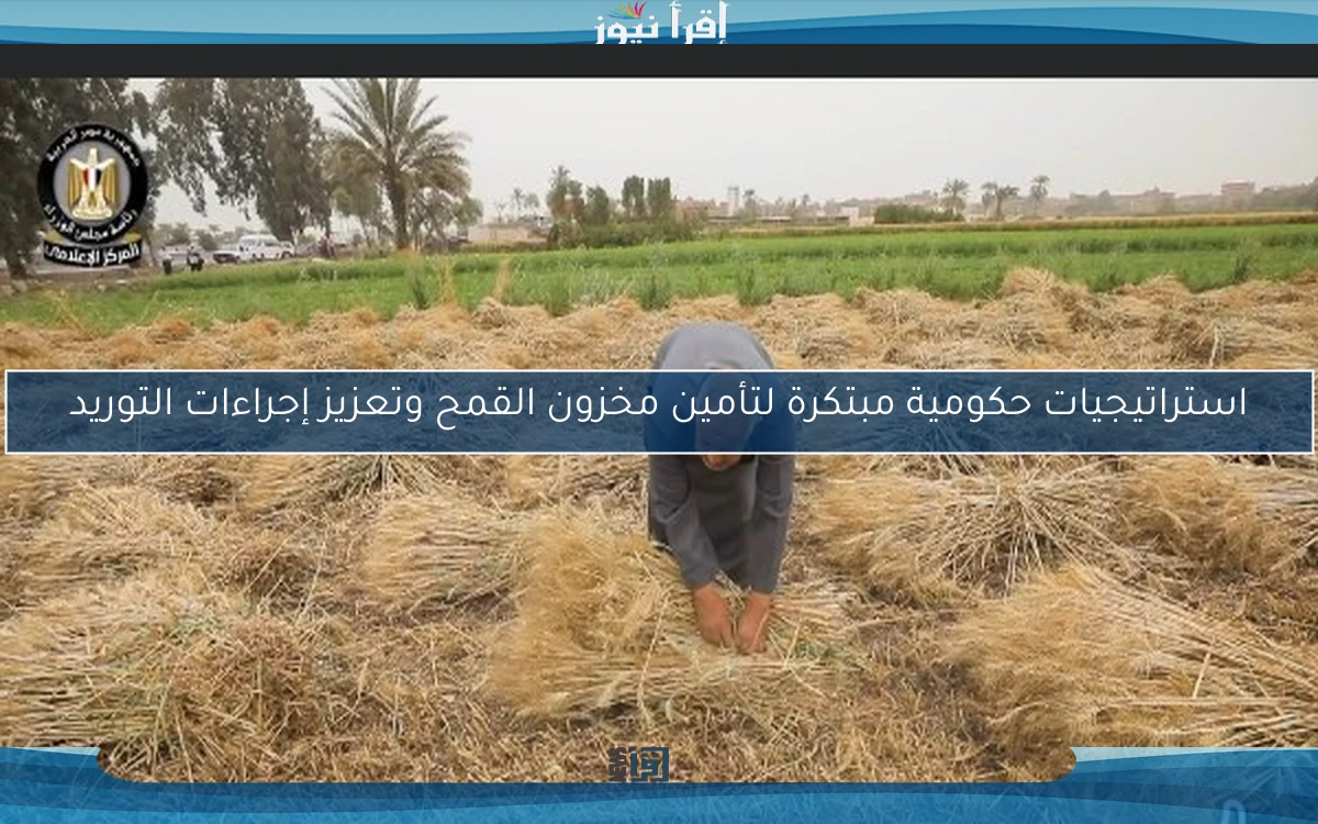 استراتيجيات حكومية مبتكرة لتأمين مخزون القمح وتعزيز إجراءات التوريد