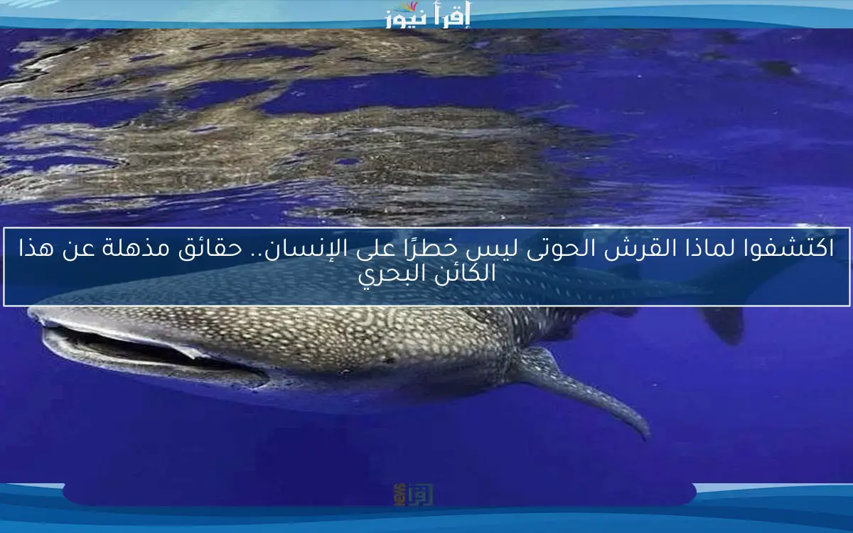 اكتشفوا لماذا القرش الحوتى ليس خطرًا على الإنسان.. حقائق مذهلة عن هذا الكائن البحري