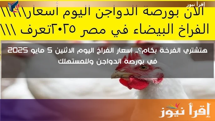 هتشتري الفرخة بكام؟.. اسعار الفراخ اليوم الاثنين 5 مايو 2025 في بورصة الدواجن وللمستهلك