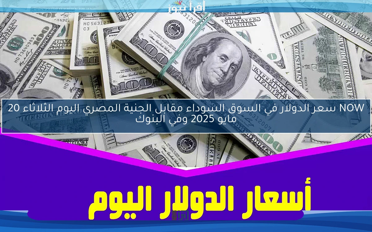 NOW سعر الدولار في السوق السوداء مقابل الجنية المصري اليوم الثلاثاء 20 مايو 2025 وفي البنوك
