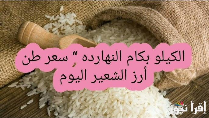 “الطن بكام” سعر طن الأرز الشعير اليوم السبت 3 مايو 2025 في الأسواق المصرية
