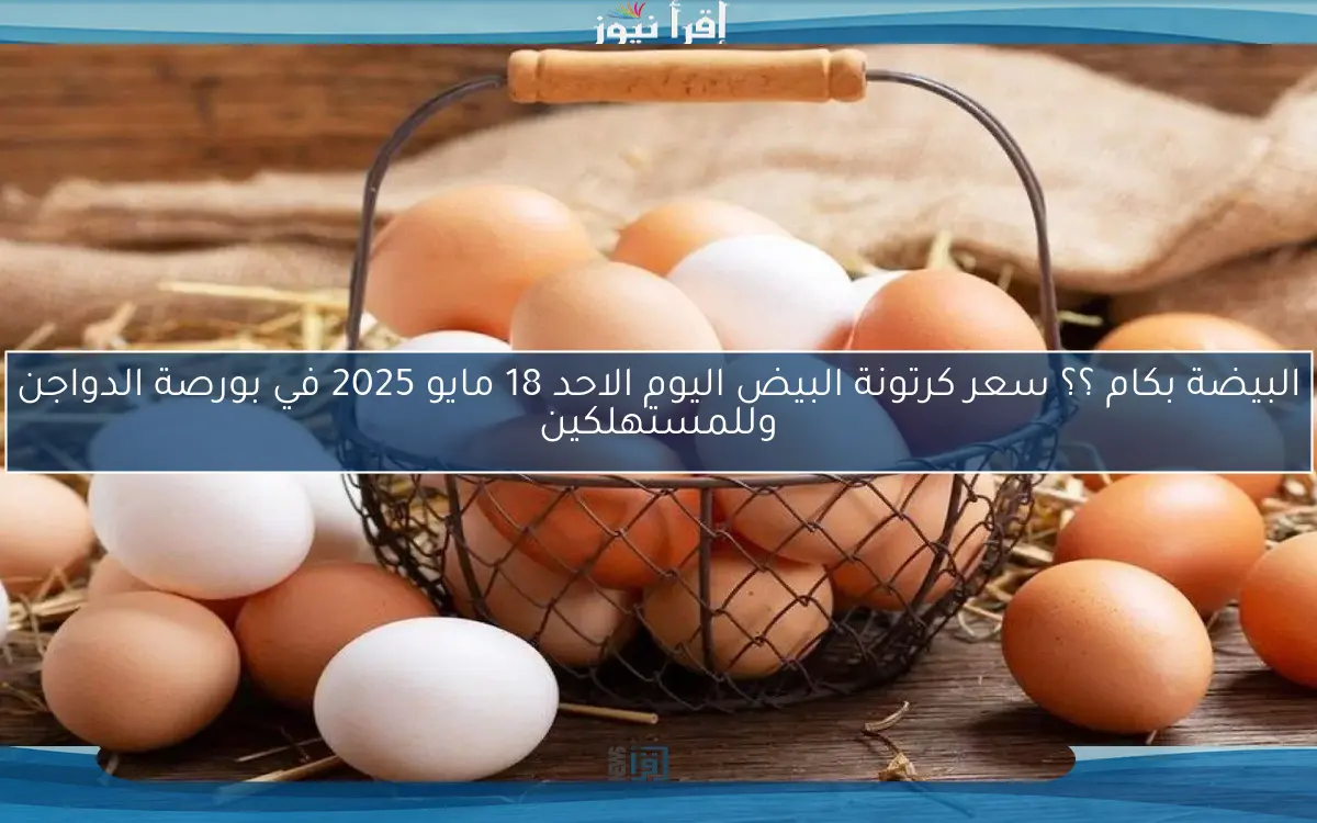 البيضة بكام ؟؟ سعر كرتونة البيض اليوم الاحد 18 مايو 2025 في بورصة الدواجن وللمستهلكين