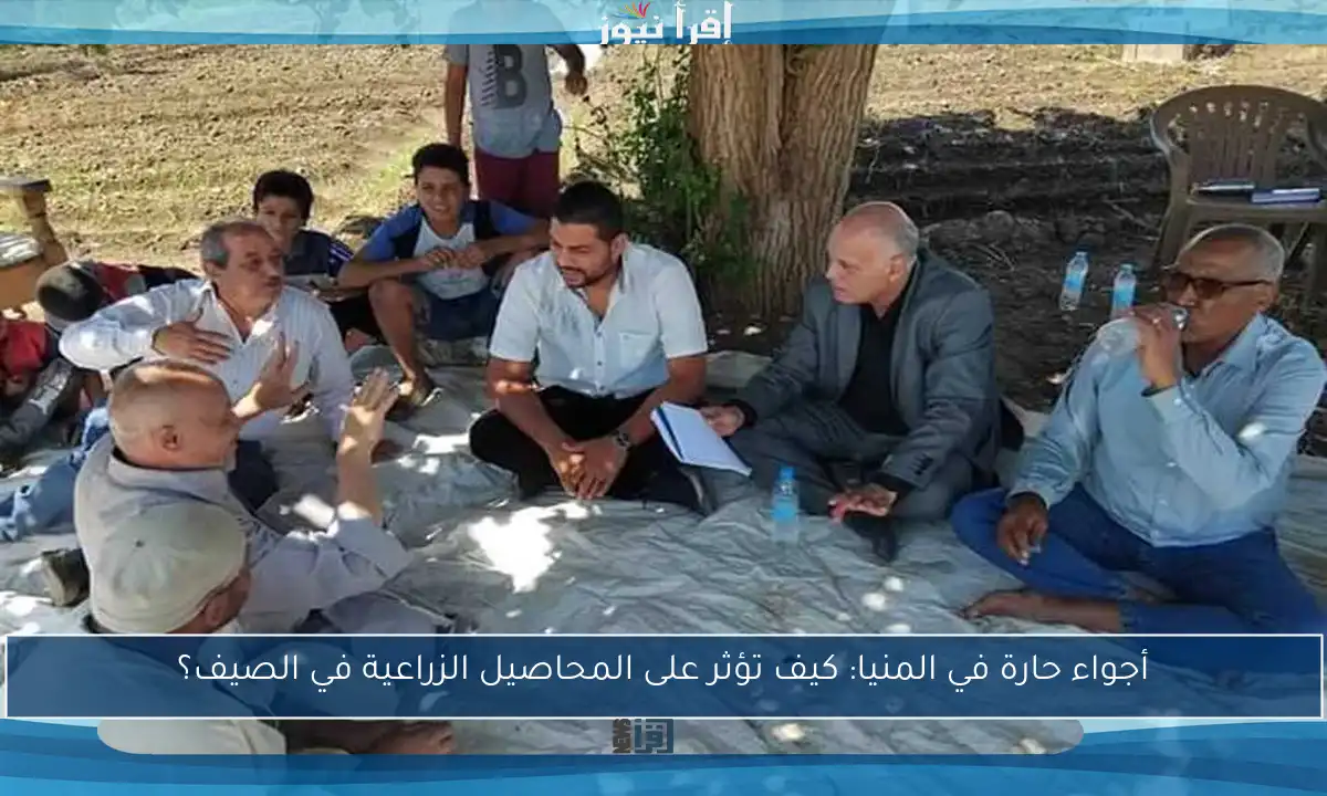 أجواء حارة في المنيا: كيف تؤثر على المحاصيل الزراعية في الصيف؟