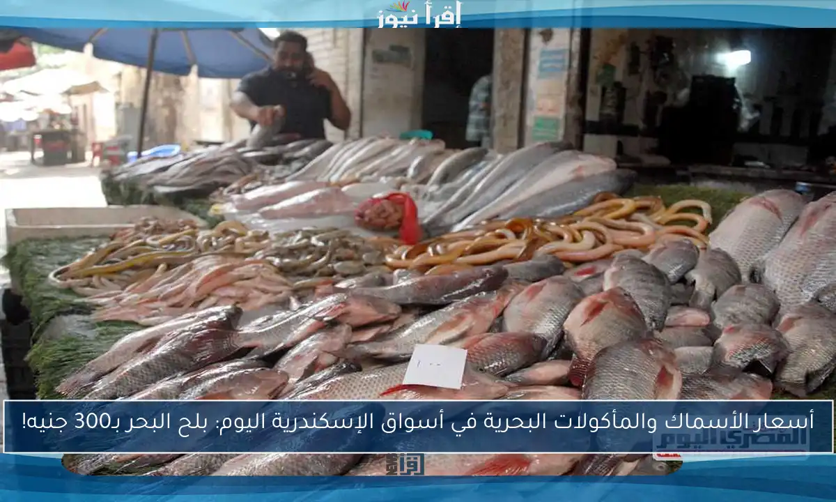 أسعار الأسماك والمأكولات البحرية في أسواق الإسكندرية اليوم: بلح البحر بـ300 جنيه!