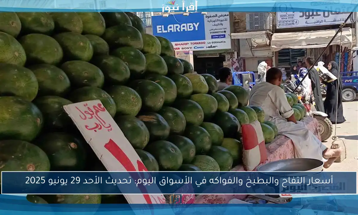 أسعار التفاح والبطيخ والفواكه في الأسواق اليوم: تحديث الأحد 29 يونيو 2025