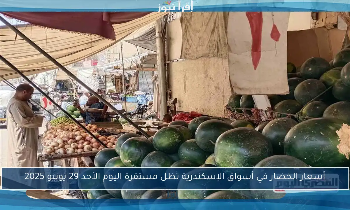 أسعار الخضار في أسواق الإسكندرية تظل مستقرة اليوم الأحد 29 يونيو 2025