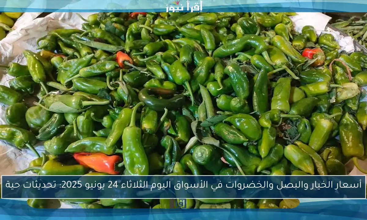 أسعار الخيار والبصل والخضروات في الأسواق اليوم الثلاثاء 24 يونيو 2025: تحديثات حية