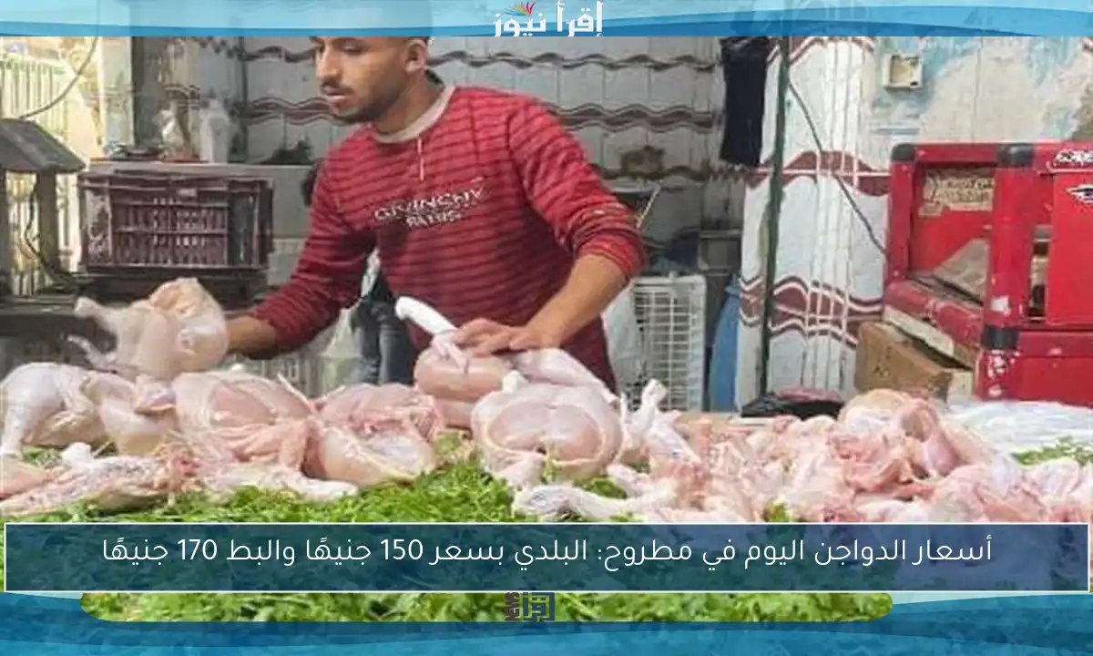 أسعار الدواجن اليوم في مطروح: البلدي بسعر 150 جنيهًا والبط 170 جنيهًا