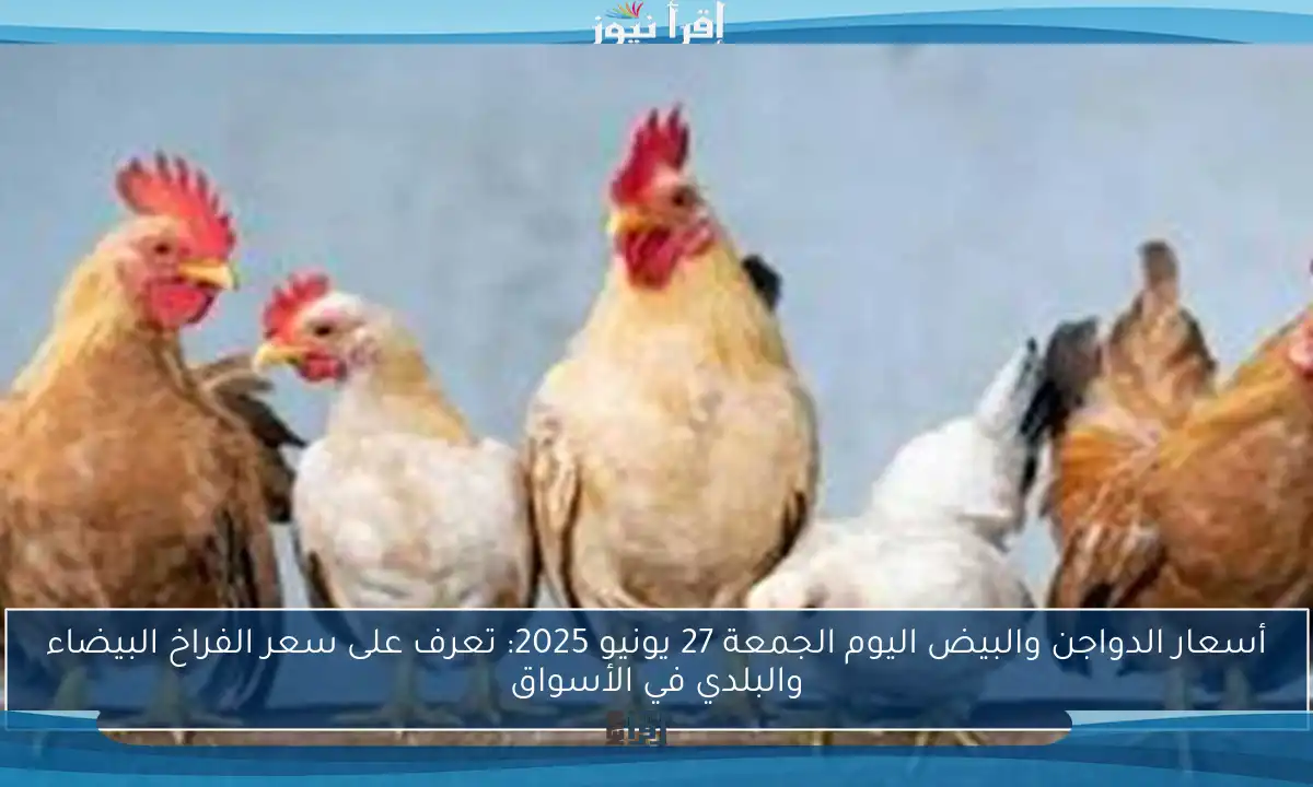 أسعار الدواجن والبيض اليوم الجمعة 27 يونيو 2025: تعرف على سعر الفراخ البيضاء والبلدي في الأسواق