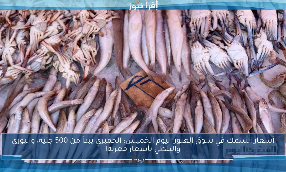 أسعار السمك في سوق العبور اليوم الخميس: الجمبري يبدأ من 500 جنيه، والبوري والبلطي بأسعار مغرية!