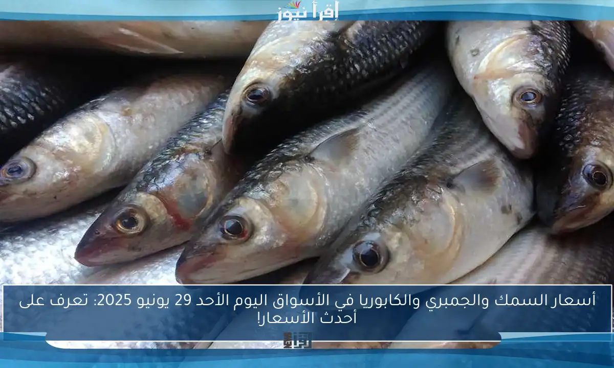 أسعار السمك والجمبري والكابوريا في الأسواق اليوم الأحد 29 يونيو 2025: تعرف على أحدث الأسعار!