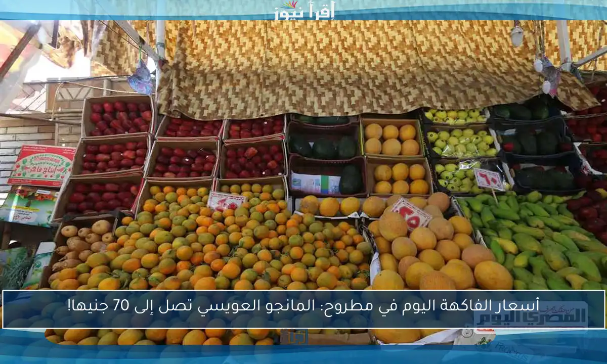 أسعار الفاكهة اليوم في مطروح: المانجو العويسي تصل إلى 70 جنيها!