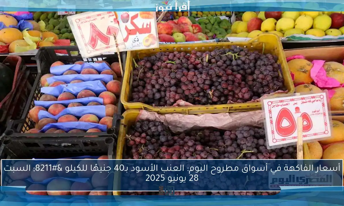 أسعار الفاكهة في أسواق مطروح اليوم: العنب الأسود بـ40 جنيهًا للكيلو – السبت 28 يونيو 2025