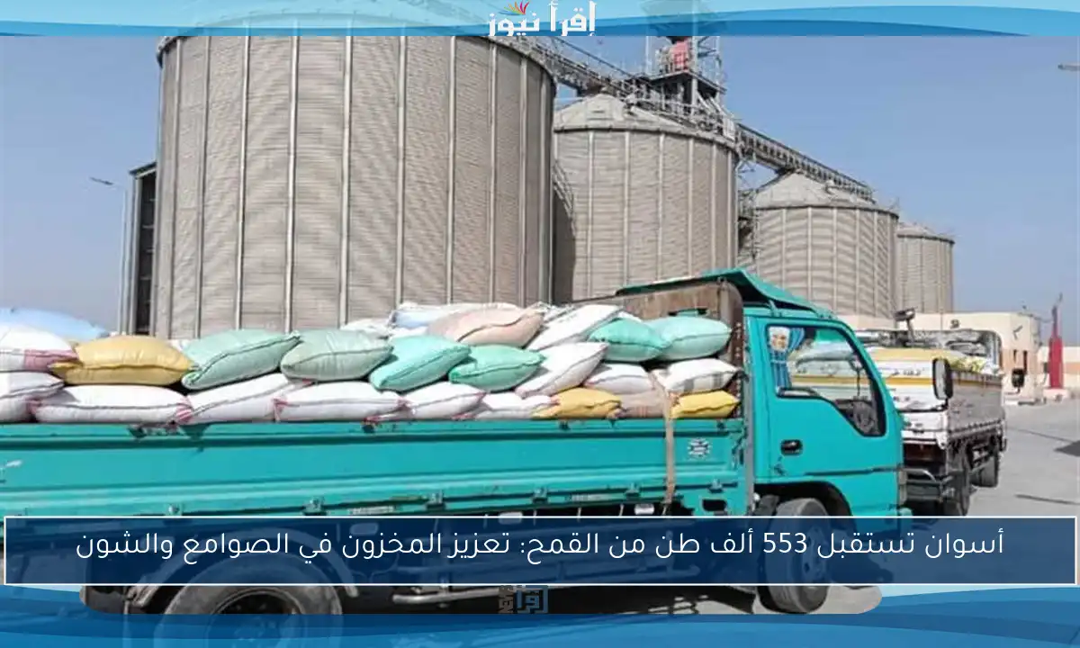 أسوان تستقبل 553 ألف طن من القمح: تعزيز المخزون في الصوامع والشون