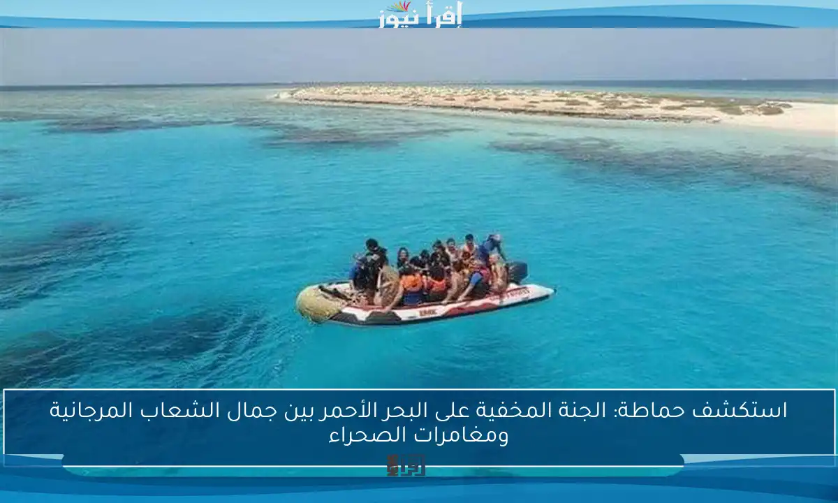 استكشف حماطة: الجنة المخفية على البحر الأحمر بين جمال الشعاب المرجانية ومغامرات الصحراء