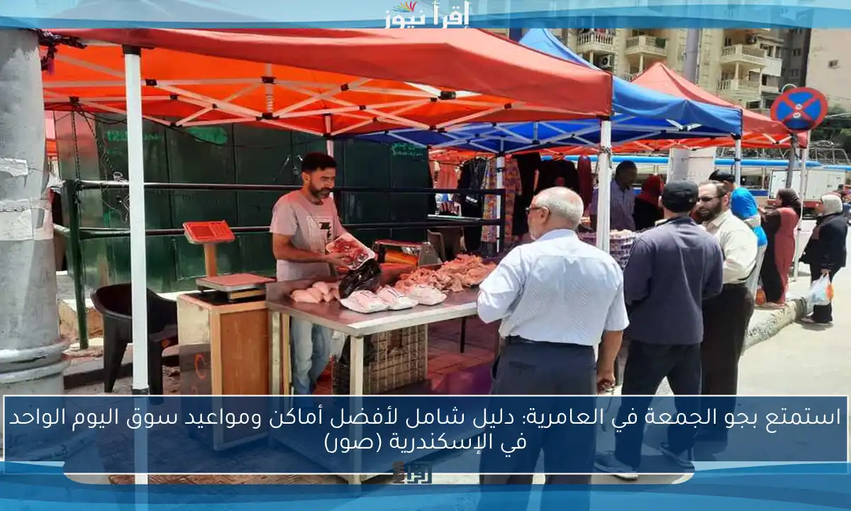 استمتع بجو الجمعة في العامرية: دليل شامل لأفضل أماكن ومواعيد سوق اليوم الواحد في الإسكندرية (صور)