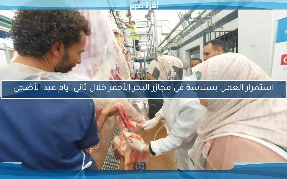 استمرار العمل بسلاسة في مجازر البحر الأحمر خلال ثاني أيام عيد الأضحى
