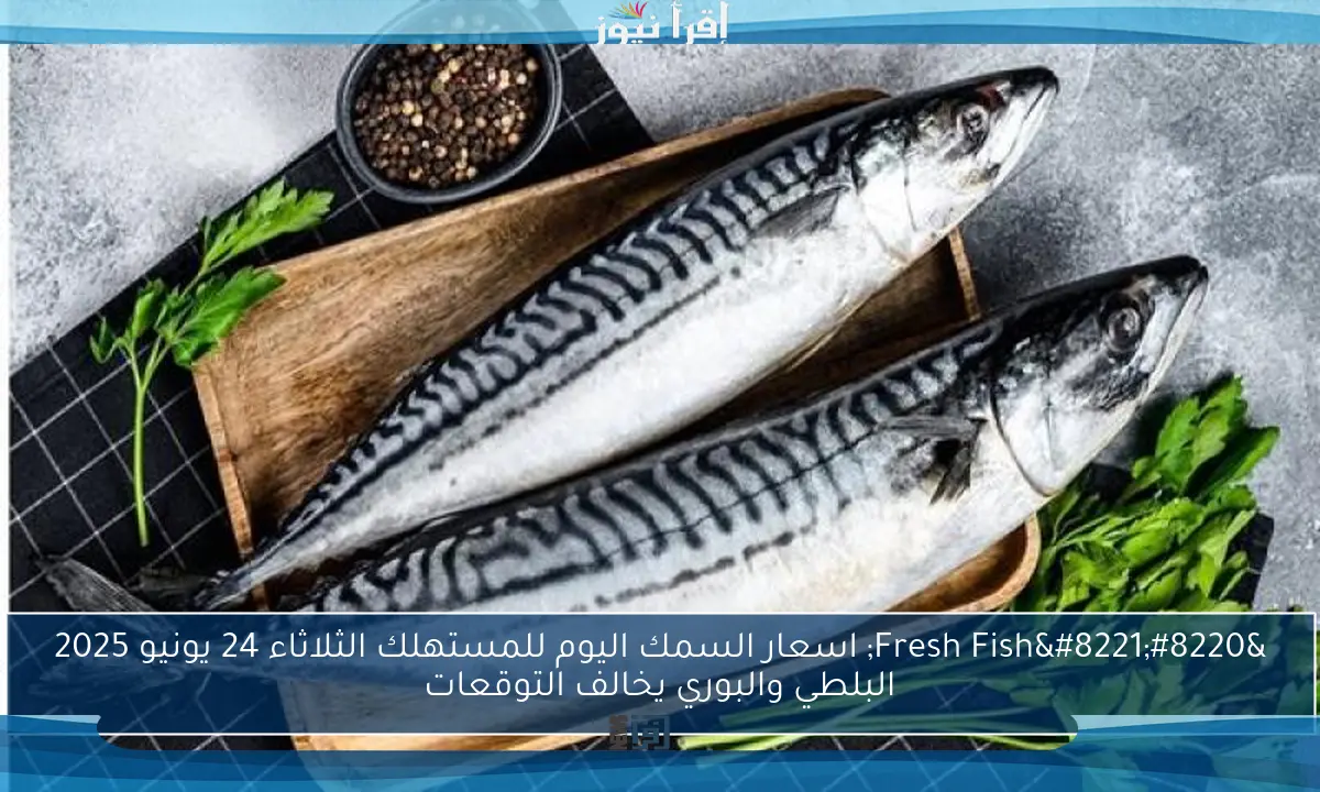 “Fresh Fish” اسعار السمك اليوم للمستهلك الثلاثاء 24 يونيو 2025 البلطي والبوري يخالف التوقعات