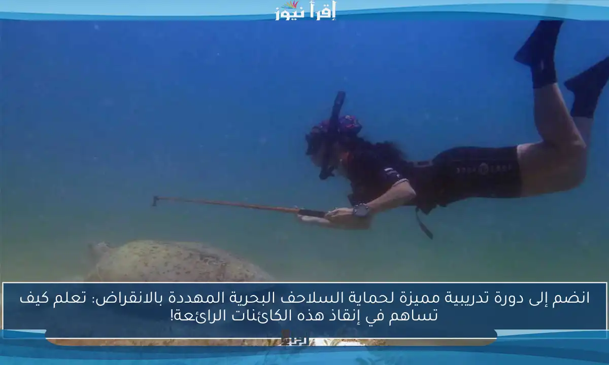 انضم إلى دورة تدريبية مميزة لحماية السلاحف البحرية المهددة بالانقراض: تعلم كيف تساهم في إنقاذ هذه الكائنات الرائعة!