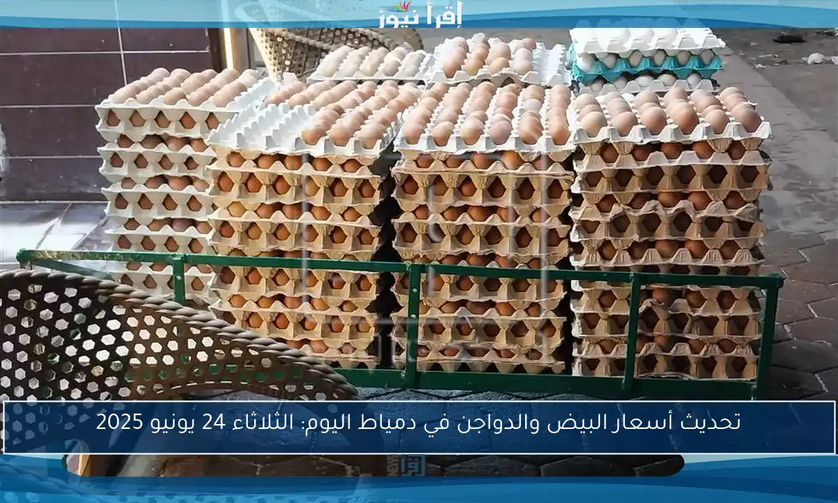 تحديث أسعار البيض والدواجن في دمياط اليوم: الثلاثاء 24 يونيو 2025