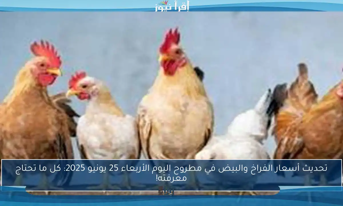 تحديث أسعار الفراخ والبيض في مطروح اليوم الأربعاء 25 يونيو 2025: كل ما تحتاج معرفته!