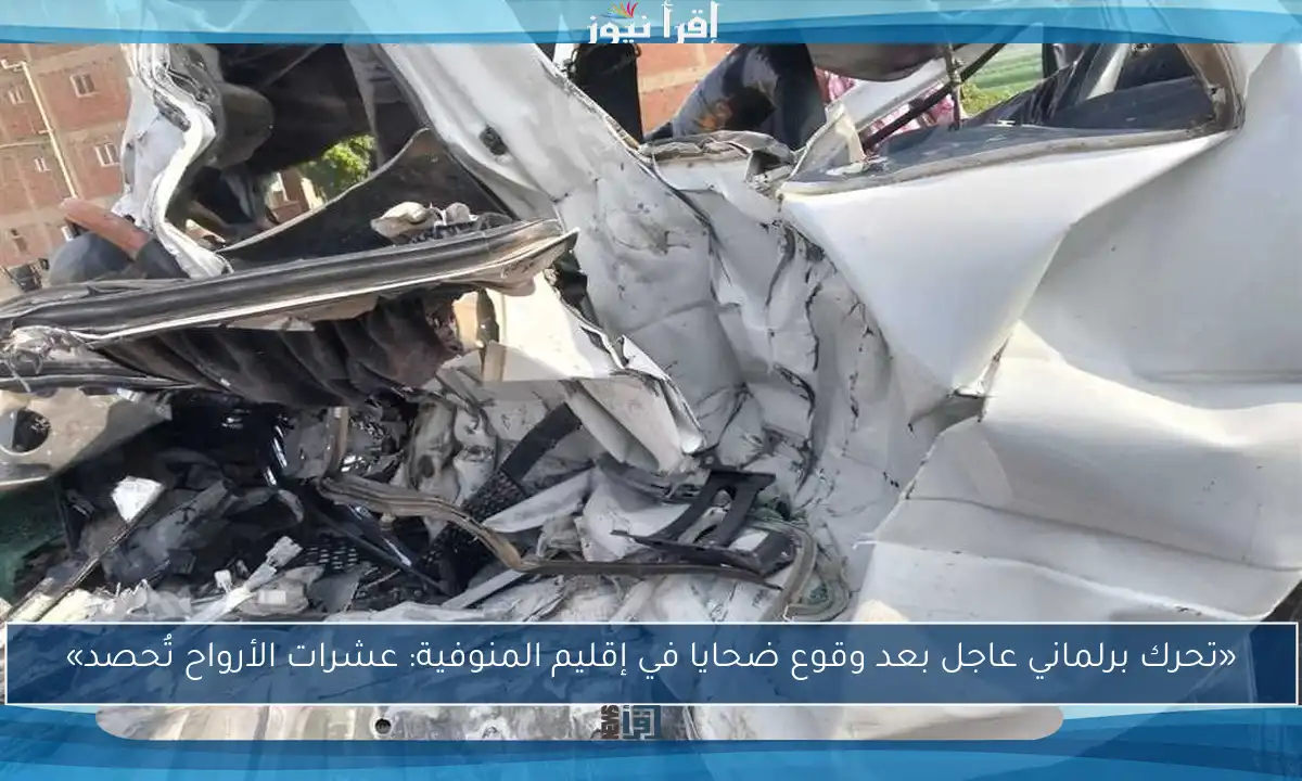 «تحرك برلماني عاجل بعد وقوع ضحايا في إقليم المنوفية: عشرات الأرواح تُحصد»