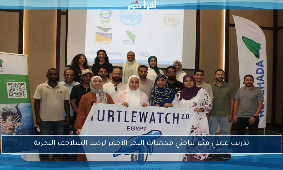 تدريب عملي مثير لباحثي محميات البحر الأحمر لرصد السلاحف البحرية