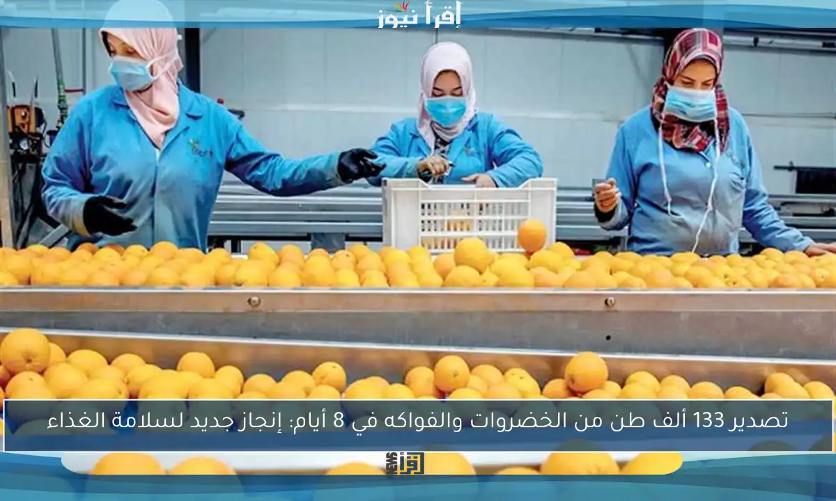 تصدير 133 ألف طن من الخضروات والفواكه في 8 أيام: إنجاز جديد لسلامة الغذاء