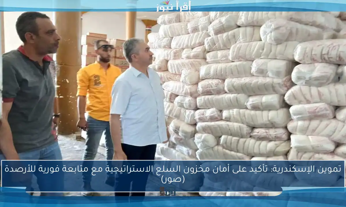 تموين الإسكندرية: تأكيد على أمان مخزون السلع الاستراتيجية مع متابعة فورية للأرصدة (صور)