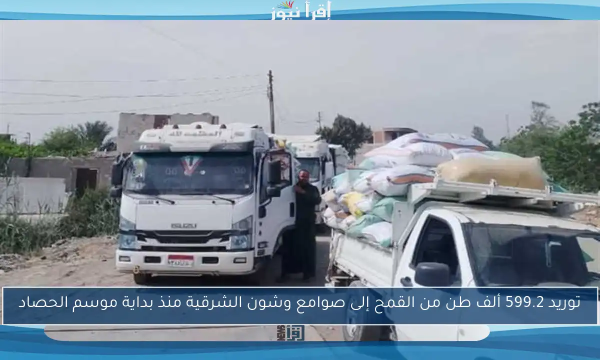 توريد 599.2 ألف طن من القمح إلى صوامع وشون الشرقية منذ بداية موسم الحصاد