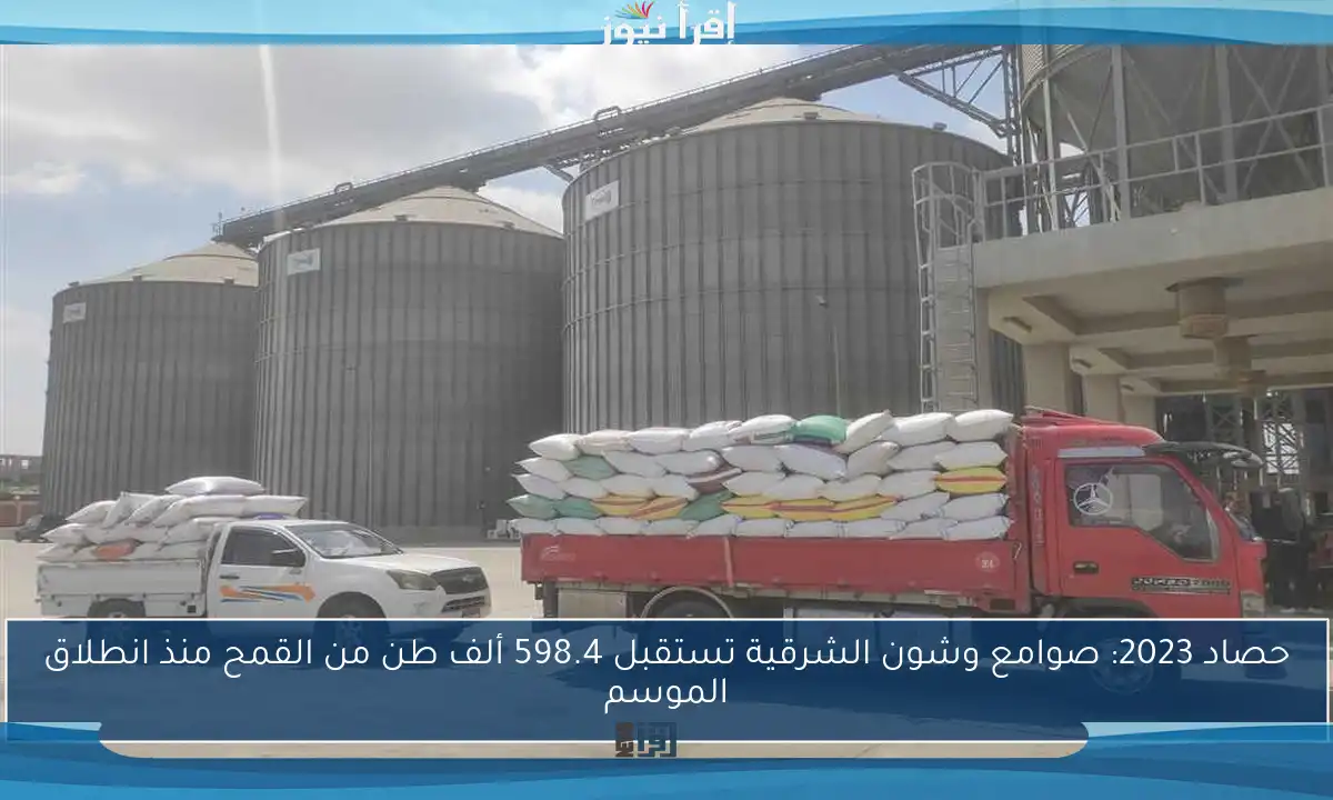 حصاد 2023: صوامع وشون الشرقية تستقبل 598.4 ألف طن من القمح منذ انطلاق الموسم