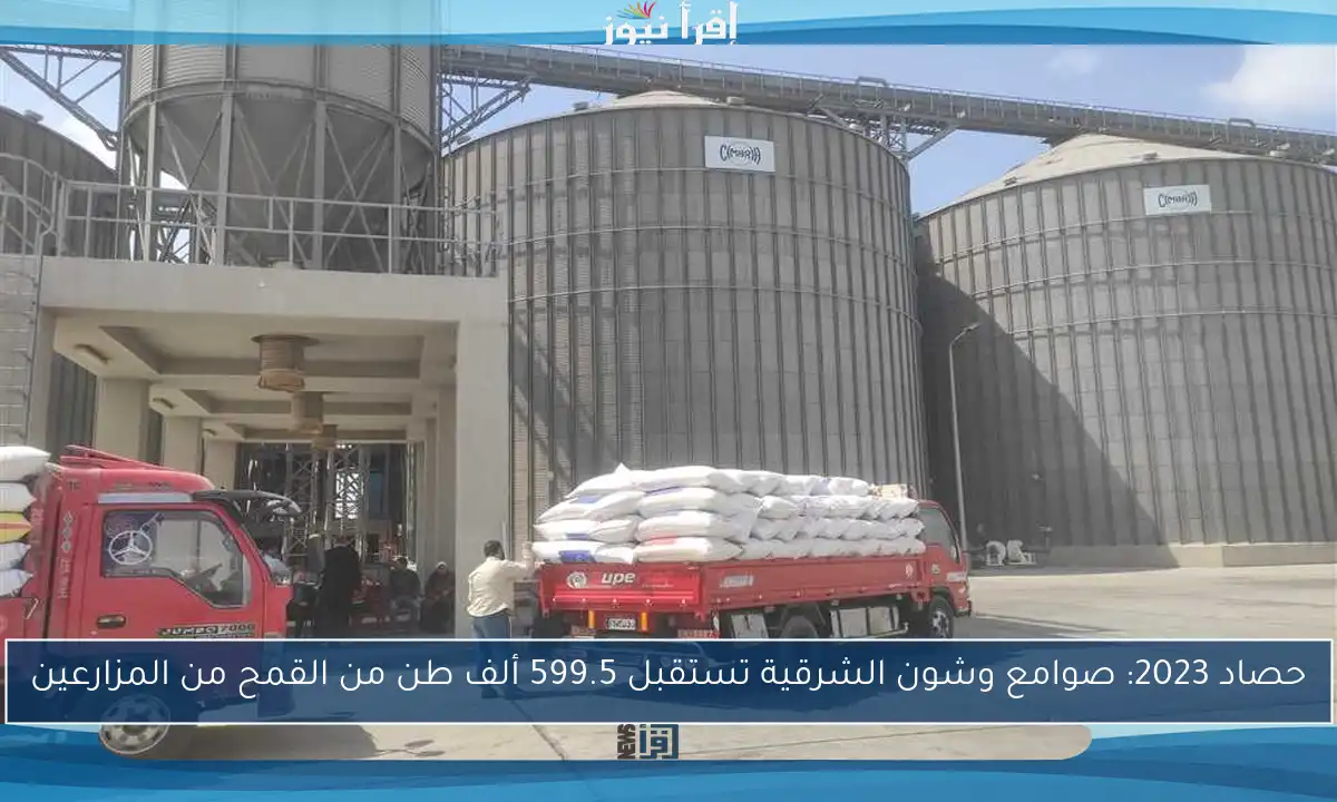 حصاد 2023: صوامع وشون الشرقية تستقبل 599.5 ألف طن من القمح من المزارعين