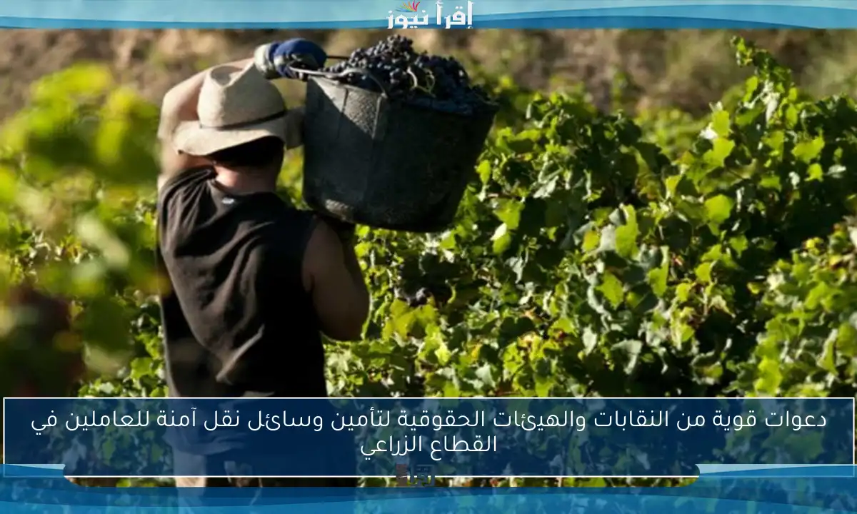 دعوات قوية من النقابات والهيئات الحقوقية لتأمين وسائل نقل آمنة للعاملين في القطاع الزراعي