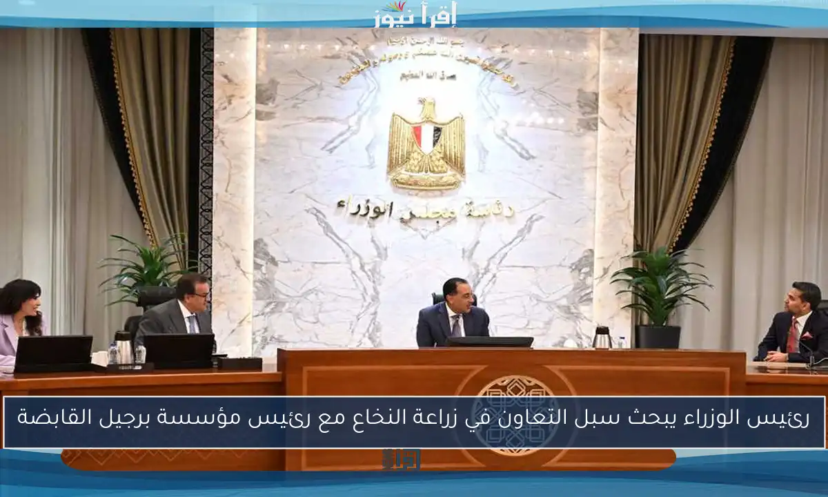 رئيس الوزراء يبحث سبل التعاون في زراعة النخاع مع رئيس مؤسسة برجيل القابضة