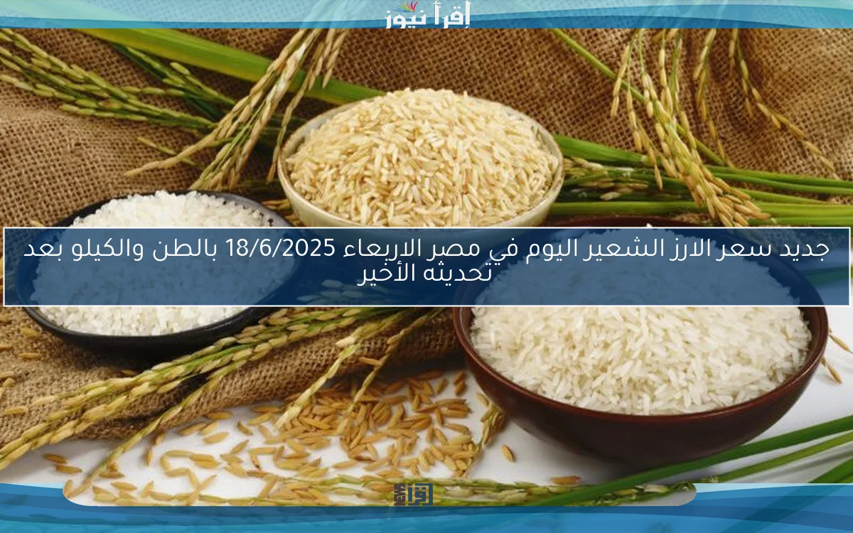 طن الرز بكام؟؟.. سعر الارز الشعير اليوم الثلاثاء 17 يونيو 2025 عريض ورفيع الحبة