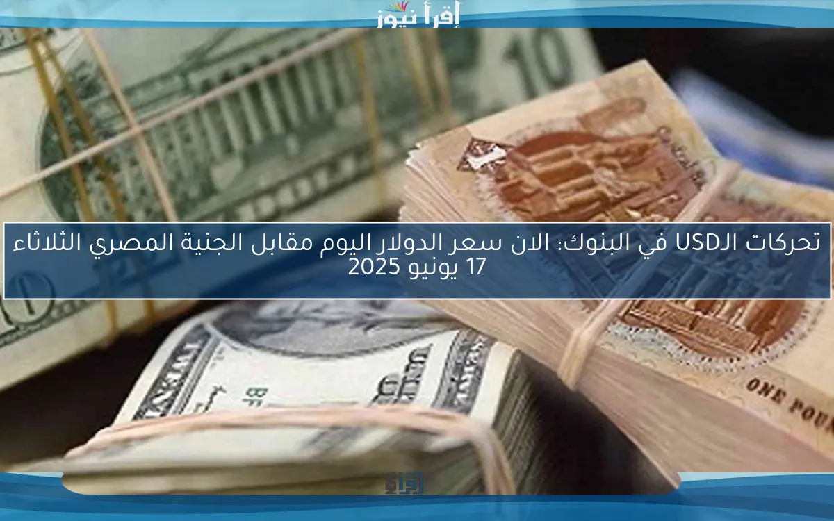 تحركات الـUSD في البنوك: الان سعر الدولار اليوم مقابل الجنية المصري الثلاثاء 17 يونيو 2025