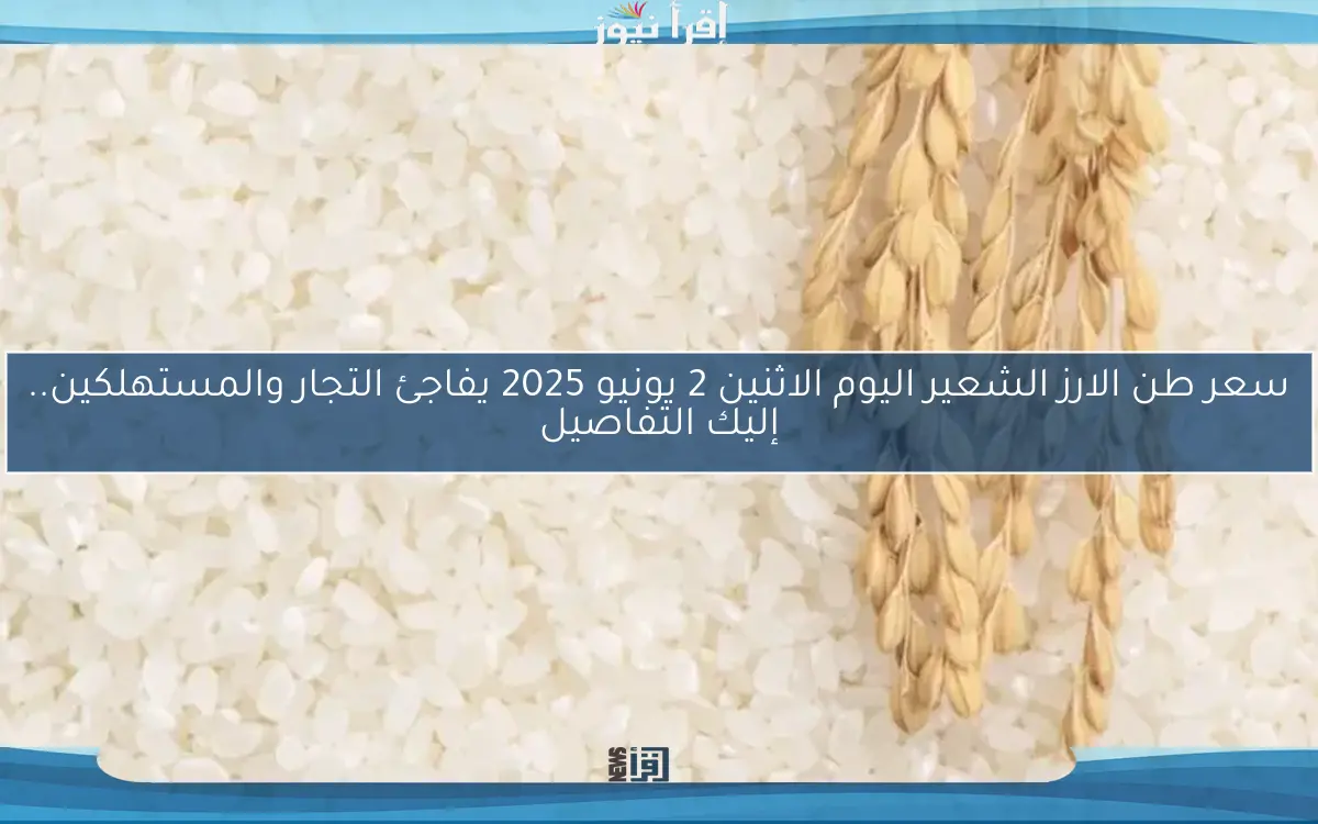 سعر طن الارز الشعير اليوم الاثنين 2 يونيو 2025 يفاجئ التجار والمستهلكين.. إليك التفاصيل