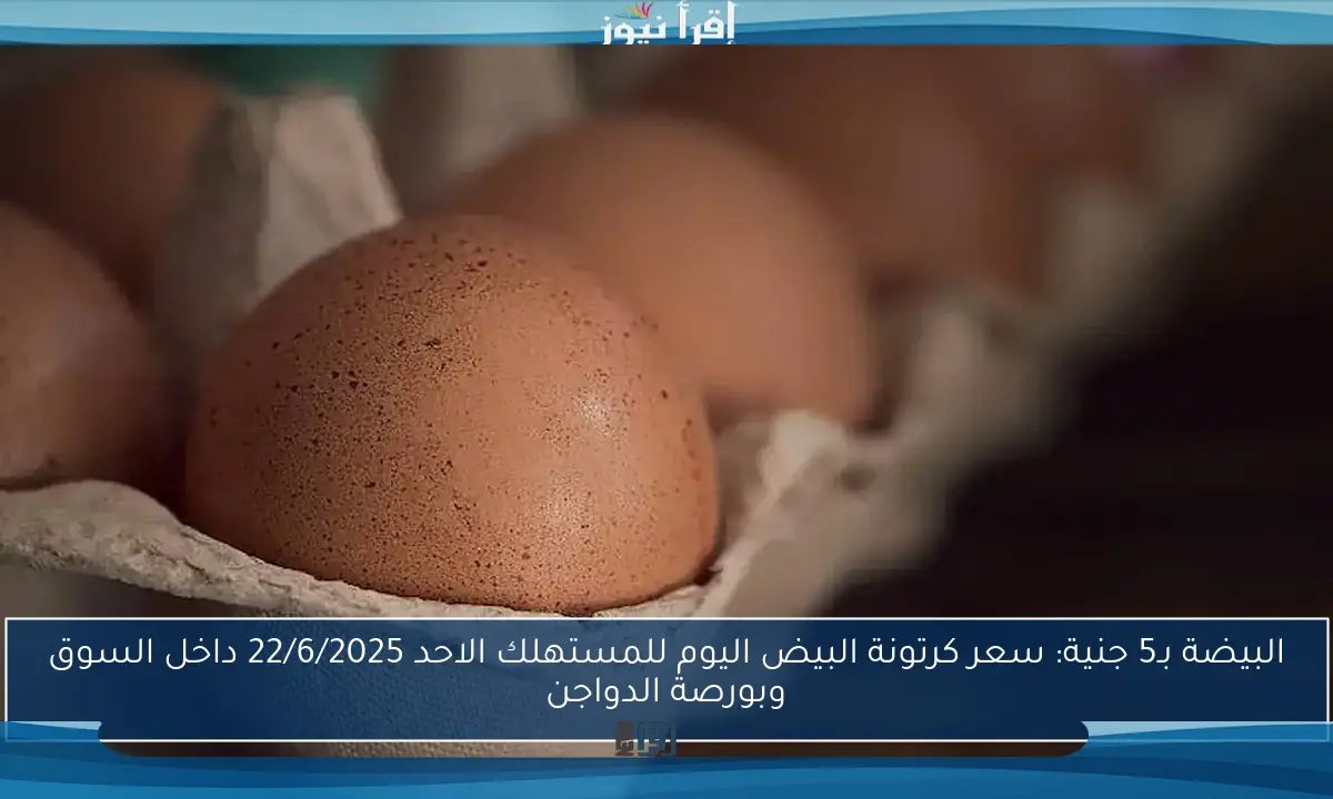 البيضة بـ5 جنية: سعر كرتونة البيض اليوم للمستهلك الاحد 22/6/2025 داخل السوق وبورصة الدواجن