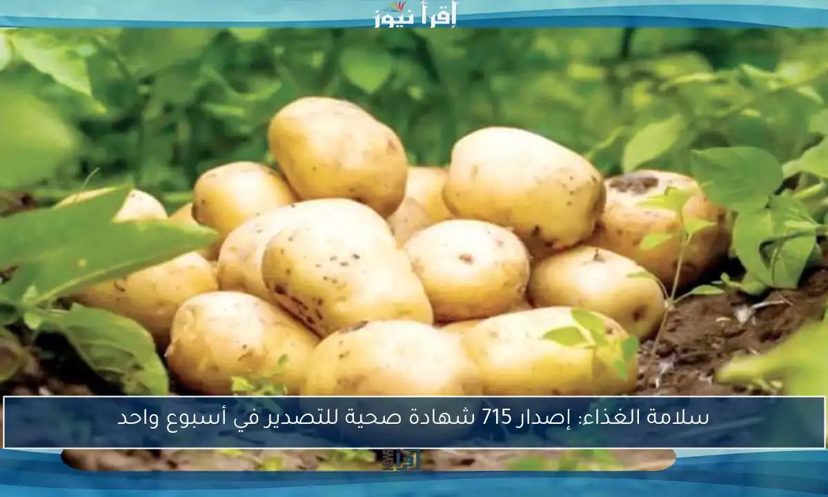 سلامة الغذاء: إصدار 715 شهادة صحية للتصدير في أسبوع واحد