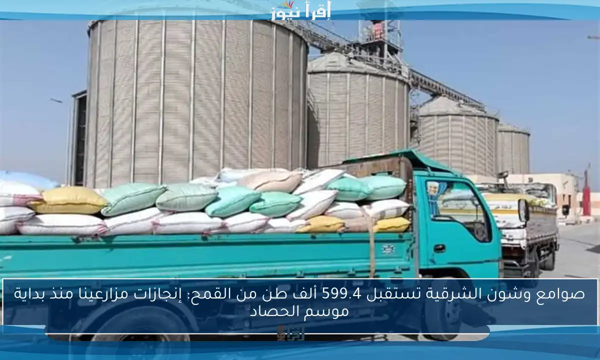 صوامع وشون الشرقية تستقبل 599.4 ألف طن من القمح: إنجازات مزارعينا منذ بداية موسم الحصاد