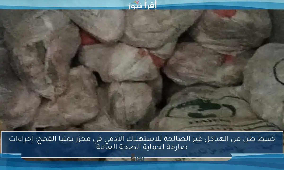 ضبط طن من الهياكل غير الصالحة للاستهلاك الآدمي في مجزر بمنيا القمح: إجراءات صارمة لحماية الصحة العامة