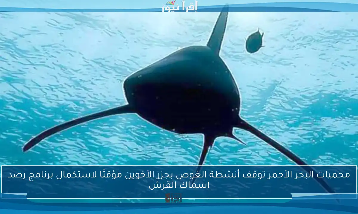 محميات البحر الأحمر توقف أنشطة الغوص بجزر الأخوين مؤقتًا لاستكمال برنامج رصد أسماك القرش