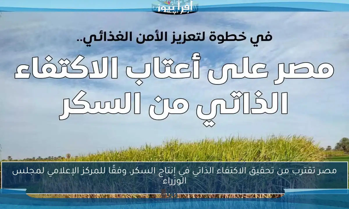 مصر تقترب من تحقيق الاكتفاء الذاتي في إنتاج السكر، وفقًا للمركز الإعلامي لمجلس الوزراء